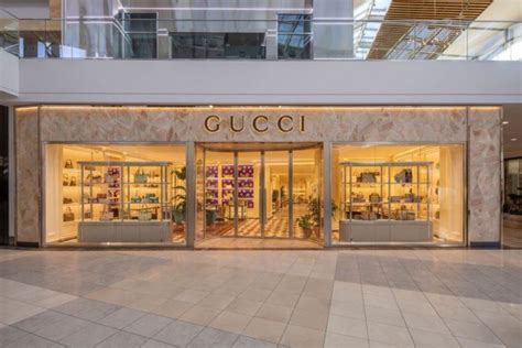 gucci addetto ufficio acquisit|gucci dream makers.